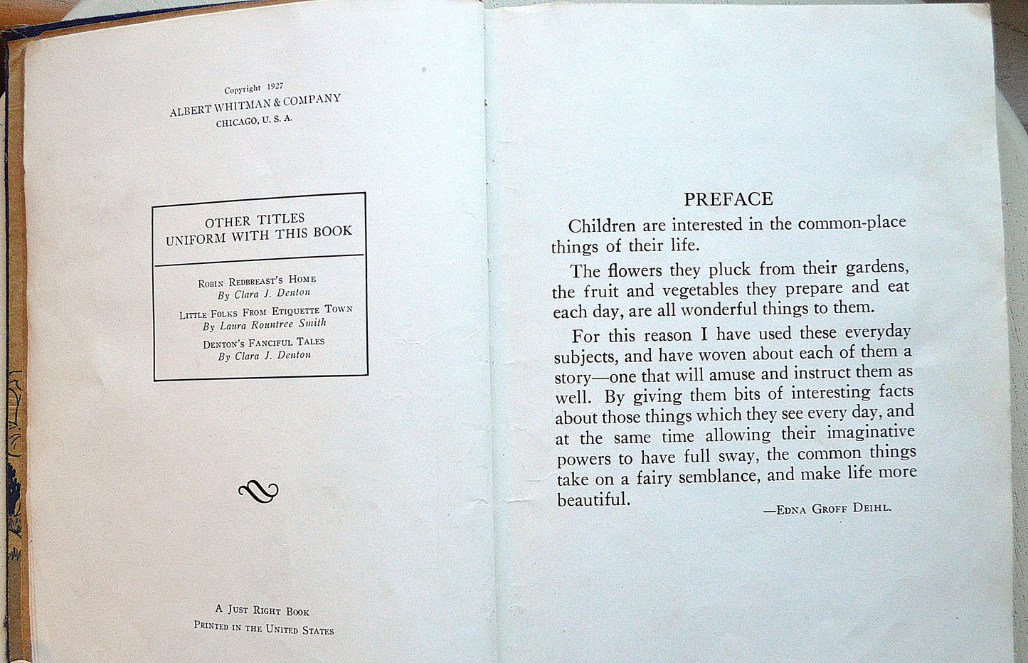 1927 Mother Brown Earth's Children Antique Book, Edna Groff Deihl