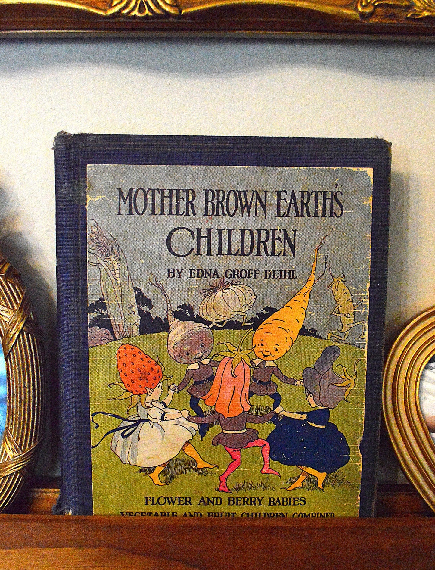 1927 Mother Brown Earth's Children Antique Book, Edna Groff Deihl
