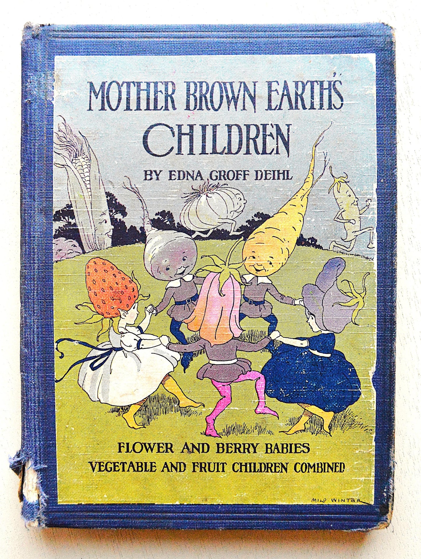1927 Mother Brown Earth's Children Antique Book, Edna Groff Deihl