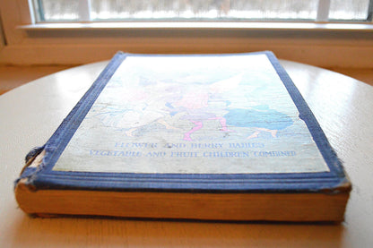 1927 Mother Brown Earth's Children Antique Book, Edna Groff Deihl