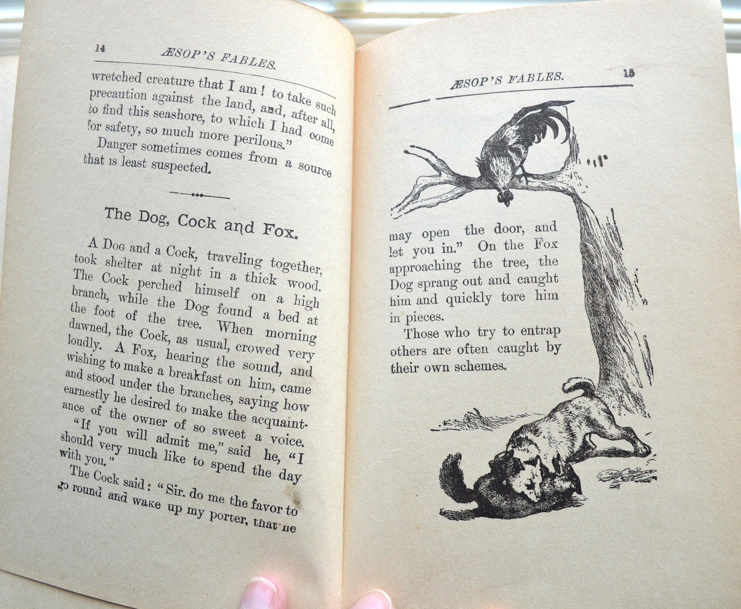 Antique 1900s Aesop's Fables Henry Altemus Hardcover Book, Pictorial Green Fairy