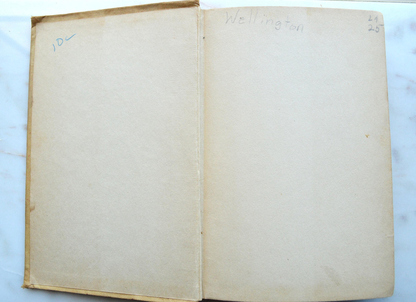 Antique 1900s Aesop's Fables Henry Altemus Hardcover Book, Pictorial Green Fairy