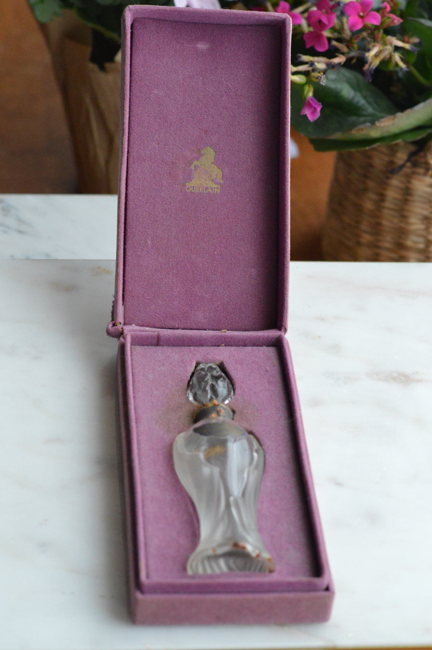 Vintage 1950s Guerlain Shalimar Extrait Perfume - Rosebud Amphora Bottle & Original Box