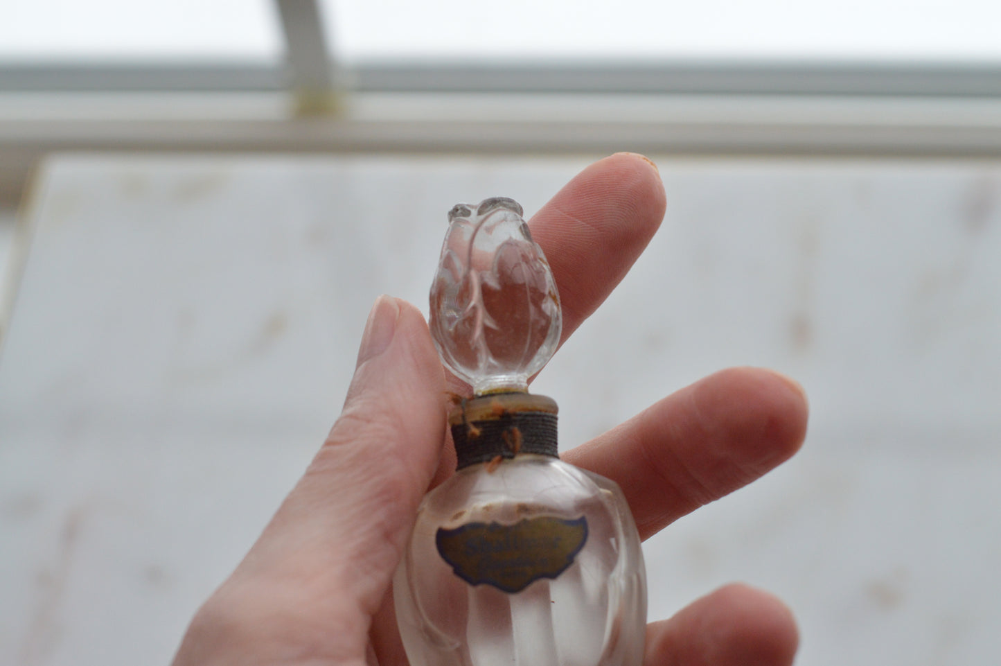 Vintage 1950s Guerlain Shalimar Extrait Perfume - Rosebud Amphora Bottle & Original Box