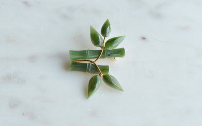 Vintage 1970s Carved Nephrite Jade Bamboo Brooch - Mid Century Style Pin in Original "Made in Taiwan ROC" Presentation Box