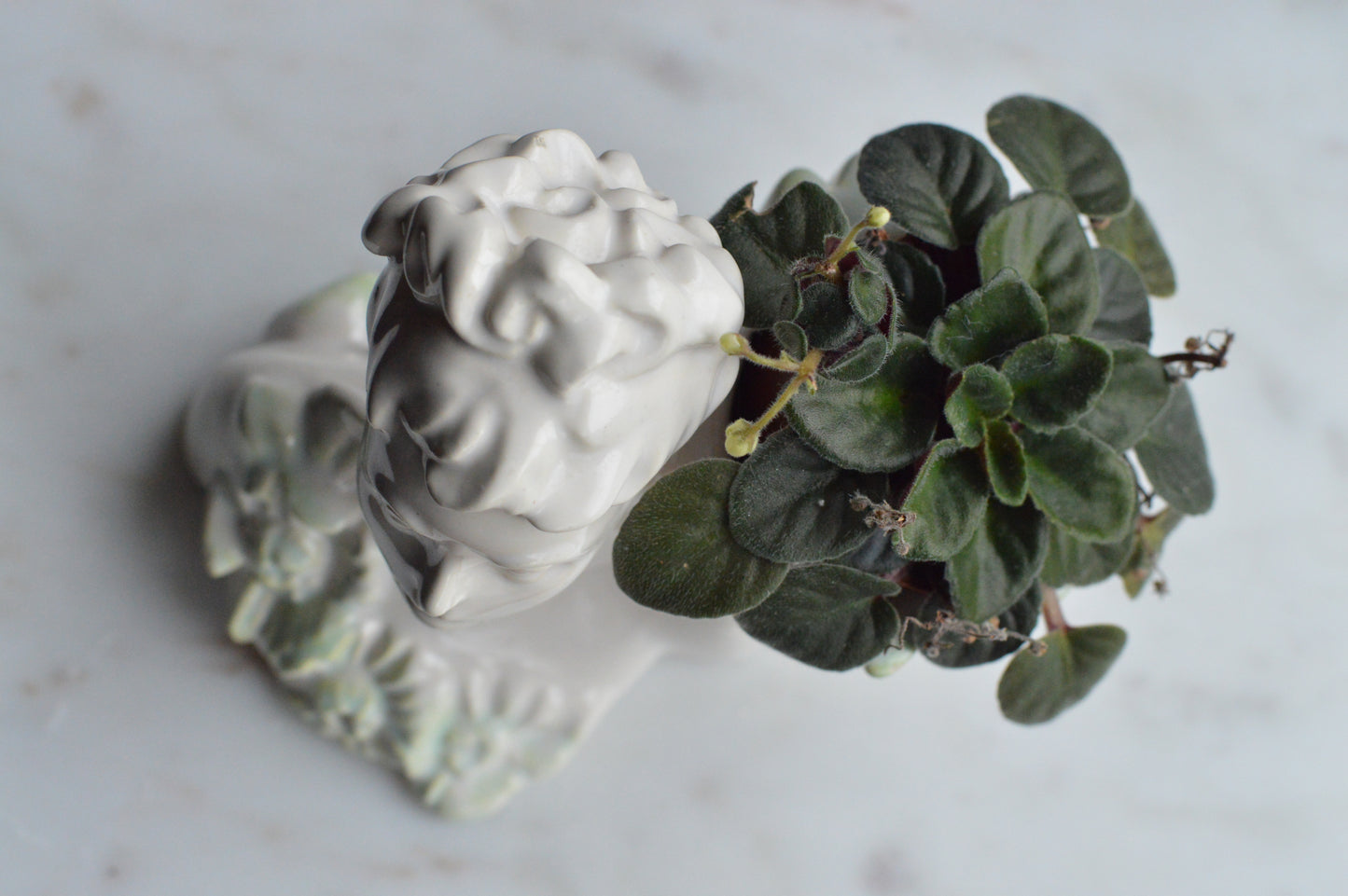 Vintage Haeger Lady Head Vase | 5.5" White Ceramic Bust Planter | Mid-Century Hollywood Regency | Authentic Used Patina
