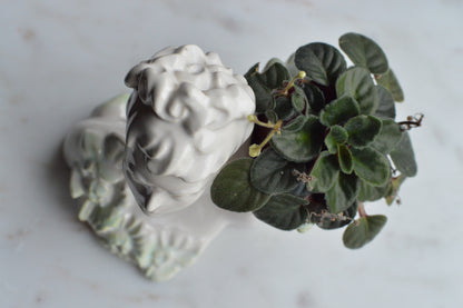 Vintage Haeger Lady Head Vase | 5.5" White Ceramic Bust Planter | Mid-Century Hollywood Regency | Authentic Used Patina