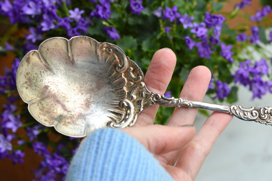 Antique WM Rogers 1894 Berry Serving Spoon | Ornate Yale Pattern | Scalloped Shell Bowl Silverplate | Victorian Art Nouveau Flatware