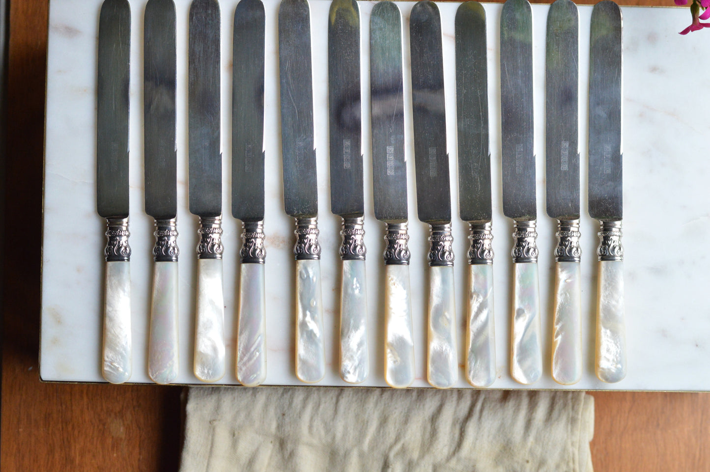 Antique Set of 12 Landers, Frary & Clark Mother of Pearl Dinner Knives