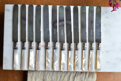 Antique Set of 12 Landers, Frary & Clark Mother of Pearl Dinner Knives