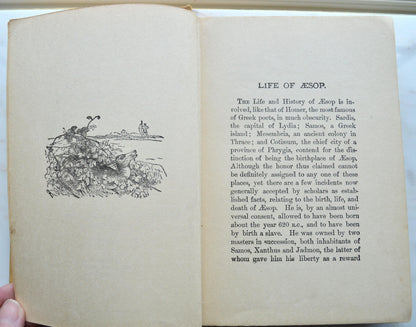 Antique 1900s Aesop's Fables Henry Altemus Hardcover Book, Pictorial Green Fairy