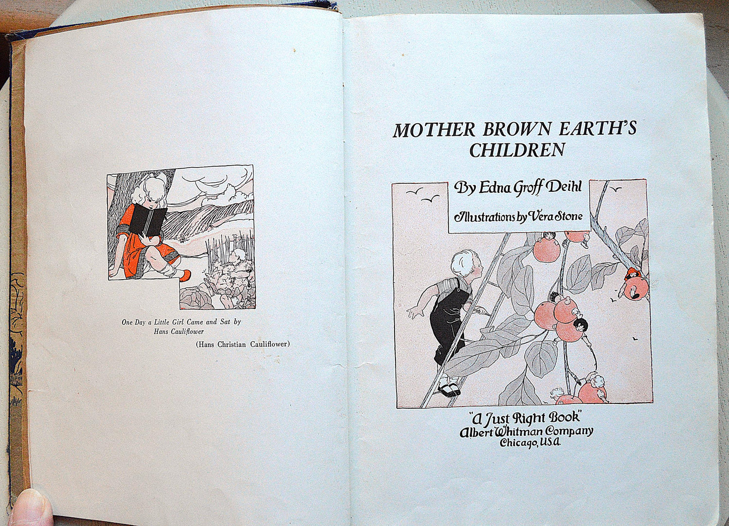 1927 Mother Brown Earth's Children Antique Book, Edna Groff Deihl